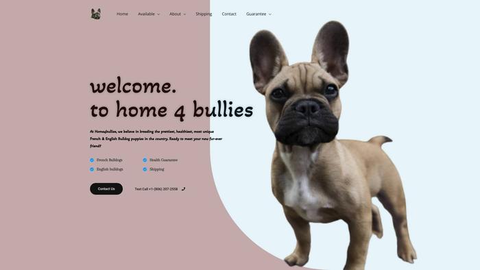 Home4bullies.com - English Bulldog Puppy Scam Review