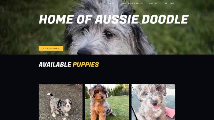 Homeofaussiedoodle.com - Australian Shepherd Puppy Scam Review