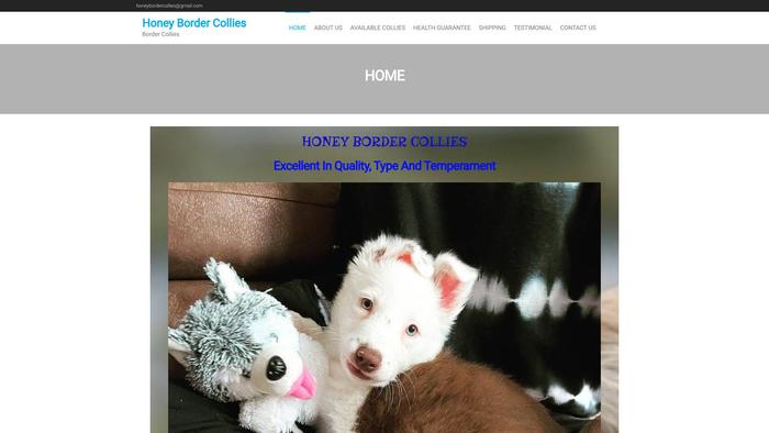 Honeybordercollies.com - Bordercollie Puppy Scam Review