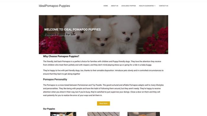 Idealpomapoopuppies.com - Pomeranian Puppy Scam Review