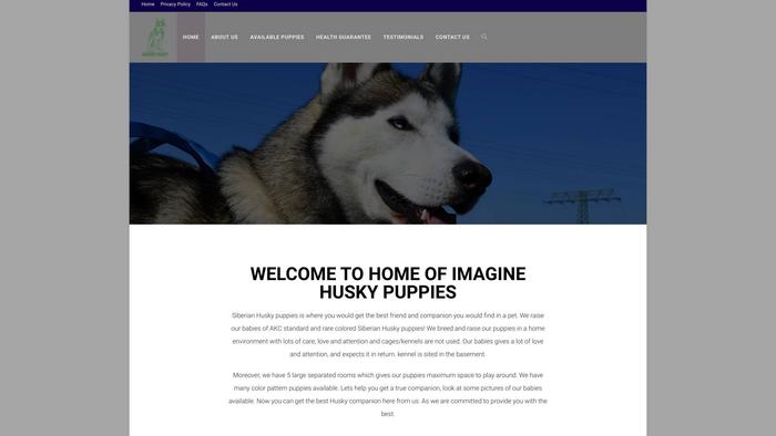 Imaginesiberianhusky.com - Husky Puppy Scam Review