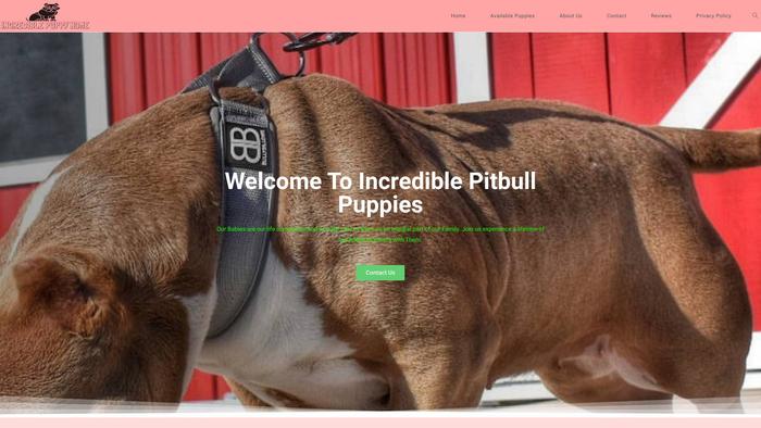 Incrediblepuppiesforsale.com - Pit Bull Puppy Scam Review