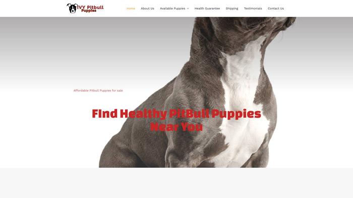 Ivypitbullpuppies.com - Pit Bull Puppy Scam Review