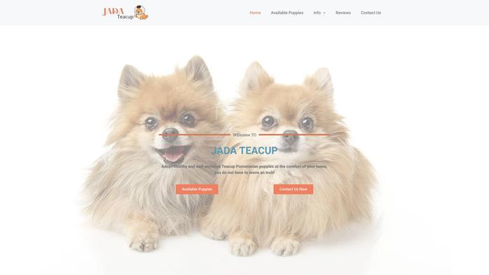 Jadateacup.com - Pomeranian Puppy Scam Review