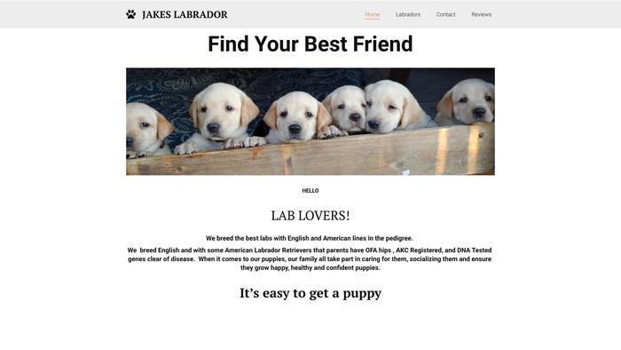 Jakeslabrador.com - Labrador Puppy Scam Review