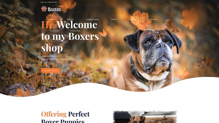 Jamesboxerpuppies.com - Boxer Puppy Scam Review