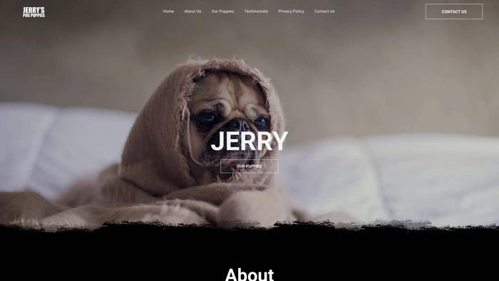 Jerryspugpuppies.com - Pug Puppy Scam Review