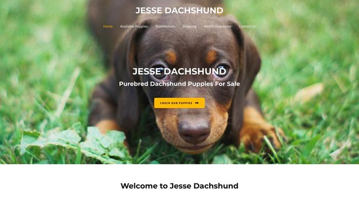 Jessedachshund.com - Dachshund Puppy Scam Review