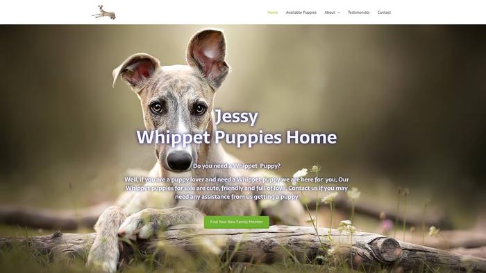 Jessywhippethome.com - Whippet Puppy Scam Review