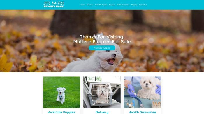 Jetsmaltesepuppieshome.com - Maltese Puppy Scam Review