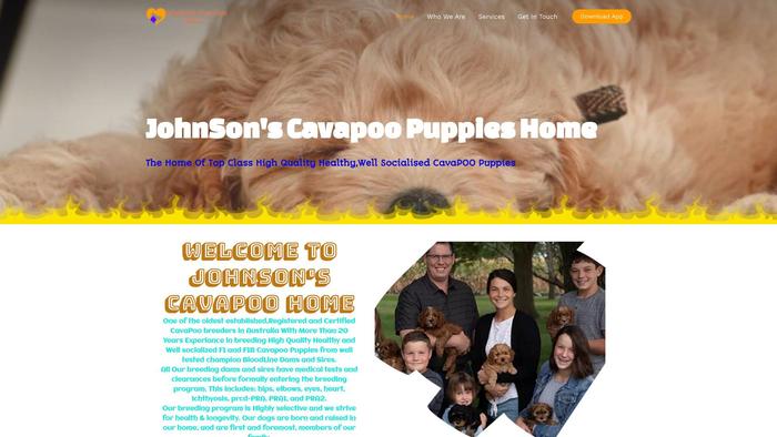 Johnsonscavapoohome.com - Cavapoo Puppy Scam Review