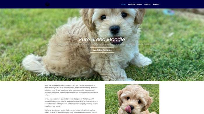 Jonespethome.com - Cavapoo Puppy Scam Review