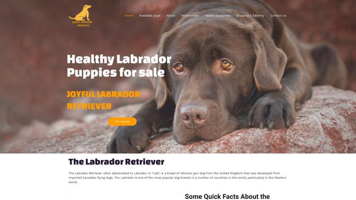 Joyfullabradorretrievers.com - Golden Retriever Puppy Scam Review