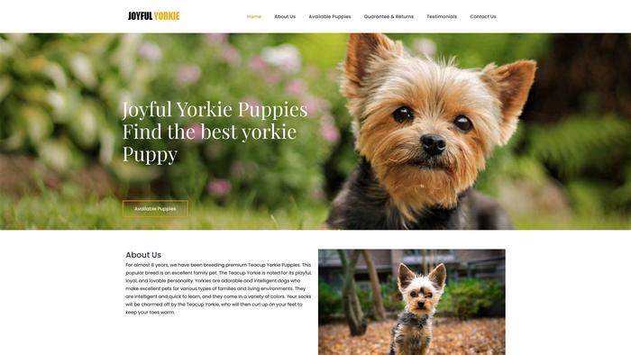 Joyfulyorkiepuppy.com - Yorkshire Terrier Puppy Scam Review