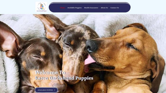 Karendachshundpuppies.com - Dachshund Puppy Scam Review