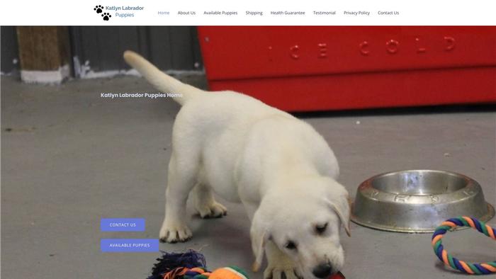 Katlynlabradorpuppies.com - Labrador Puppy Scam Review