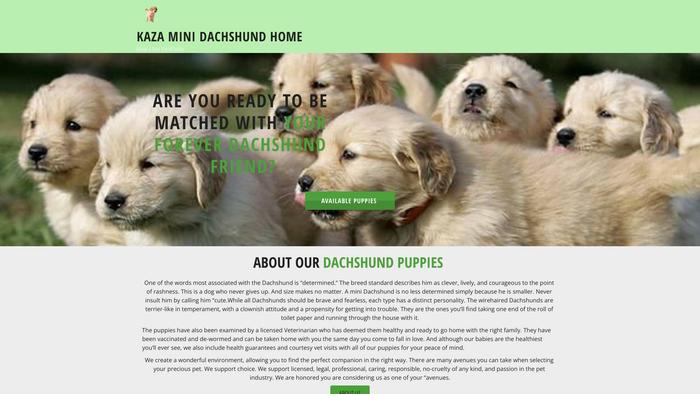 Kazaminidachshundza.com - Dachshund Puppy Scam Review