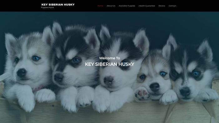 Keysiberianhusky.com - Husky Puppy Scam Review