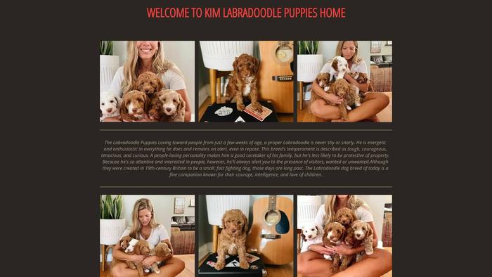 Kimlabradoodlepuppieshome.com - Labradoodle Puppy Scam Review