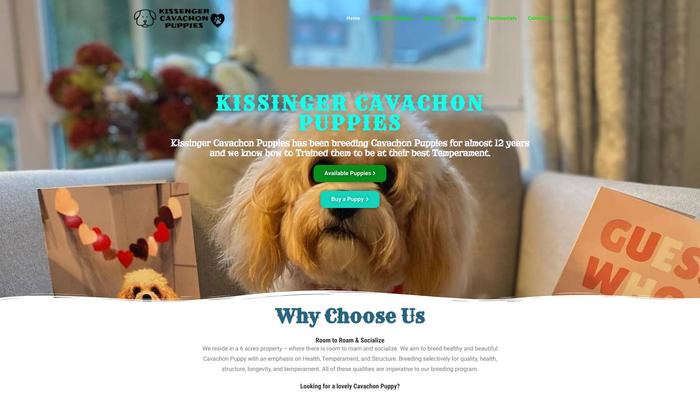 Kissingercavachonpups.com - Cavachon Puppy Scam Review