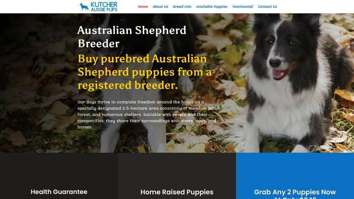 Kutcheraussiepups.com - Australian Shepherd Puppy Scam Review