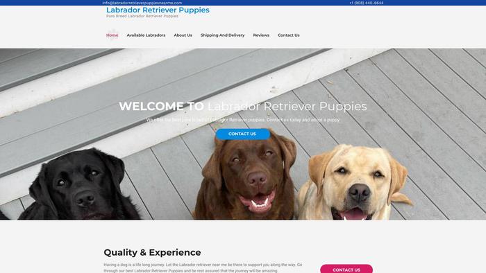 Labradorretrieverpuppiesnearme.com - Golden Retriever Puppy Scam Review