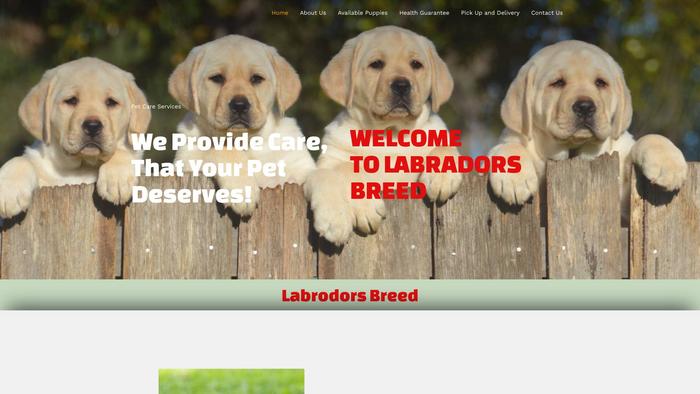 Labradorsbreed.com - Labrador Puppy Scam Review