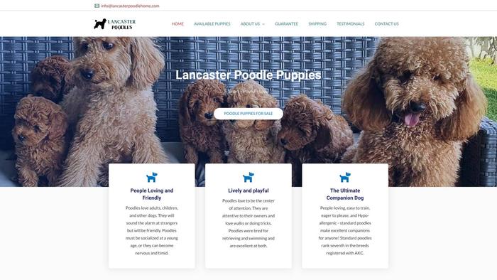 Lancasterpoodlehome.com - Poodle Puppy Scam Review