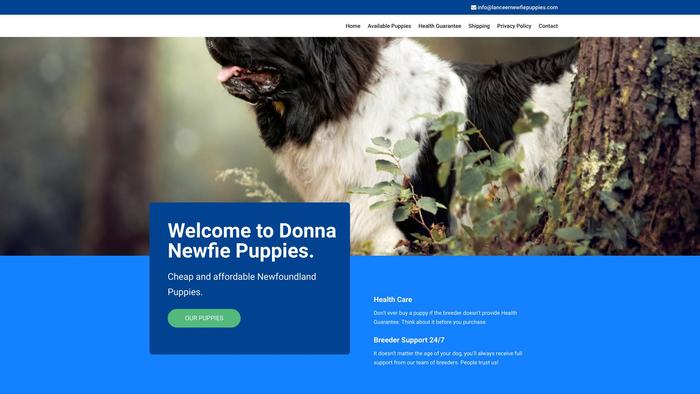 Lanceernewfiepuppies.com - Saint Bernard Puppy Scam Review