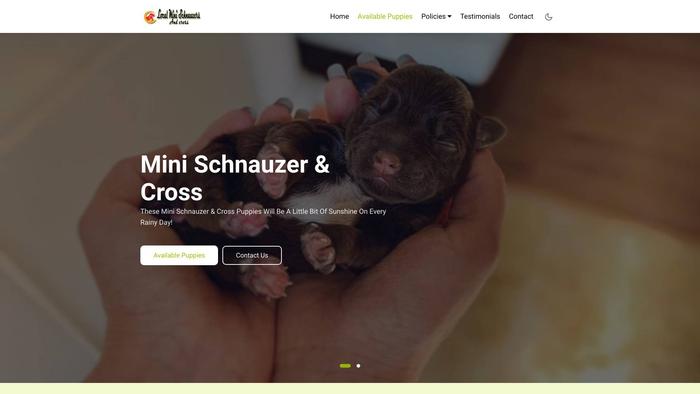 Localminischnauzerandcross.com - Schnauzer Puppy Scam Review