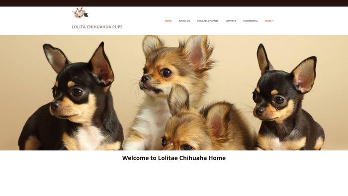 Lolitachihuahuapups.com - Chihuahua Puppy Scam Review