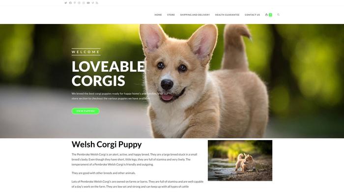 Loveablecorgis.com - Corgi Puppy Scam Review