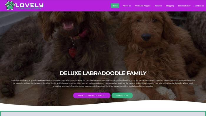 Lovelylabradoodlefamily.com - Labradoodle Puppy Scam Review