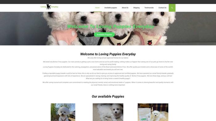 Lovingpuppieseveryday.com - Bichon Frise Puppy Scam Review