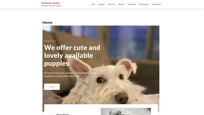 Lschnauzergarden.com - Schnauzer Puppy Scam Review