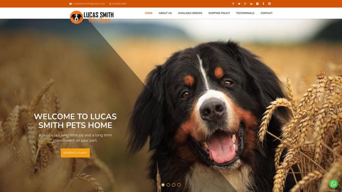 Lucassmithpetshome.com - Bernese Mountain Dog Puppy Scam Review