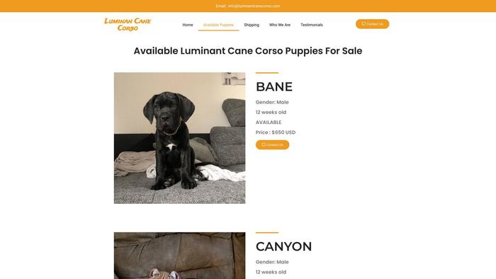 Luminantcanecorso.com - Cane Corso Puppy Scam Review