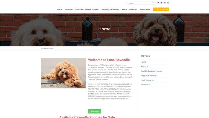 Lunacavoodle.com - Cavapoo Puppy Scam Review