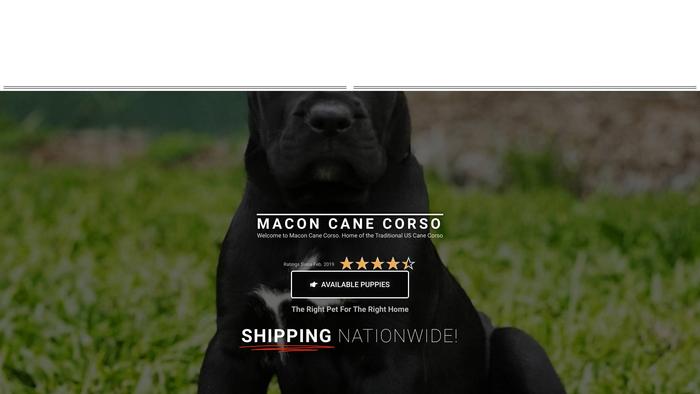 Maconcanecorso.com - Cane Corso Puppy Scam Review