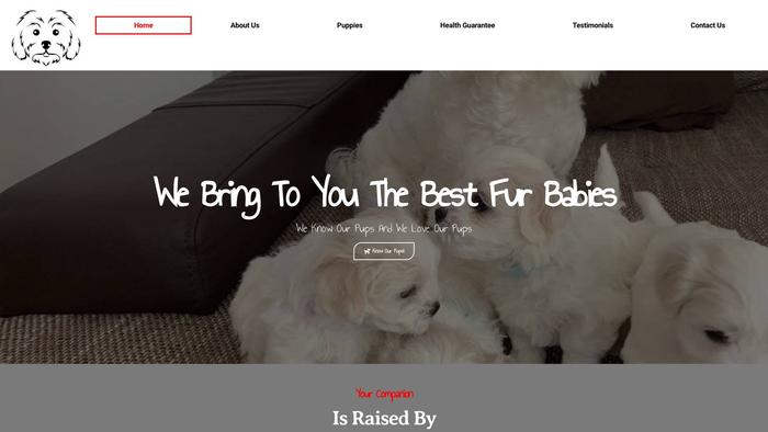 Maltesediary.com - Maltese Puppy Scam Review