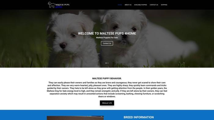 Maltesepups4home.com - Maltese Puppy Scam Review