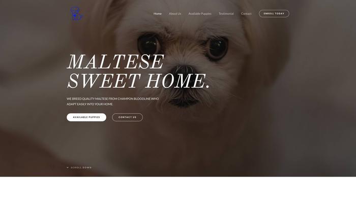 Maltesesweethome.com - Maltese Puppy Scam Review