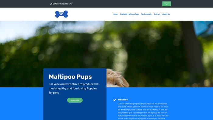 Maltipoopups.com - Maltipoo Puppy Scam Review