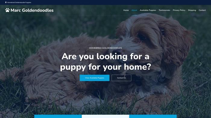 Marcgoldendoodles.com - Golden Doodle Puppy Scam Review