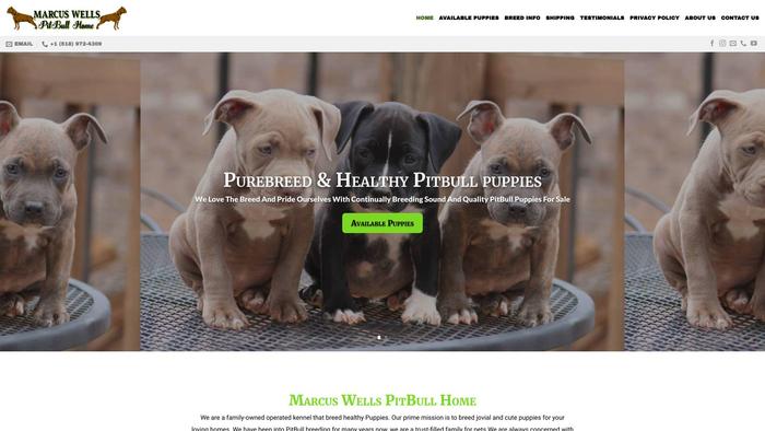 Marcuswellspitbull.com - Pit Bull Puppy Scam Review