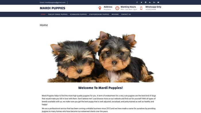 Mardipuppies.com - Yorkshire Terrier Puppy Scam Review