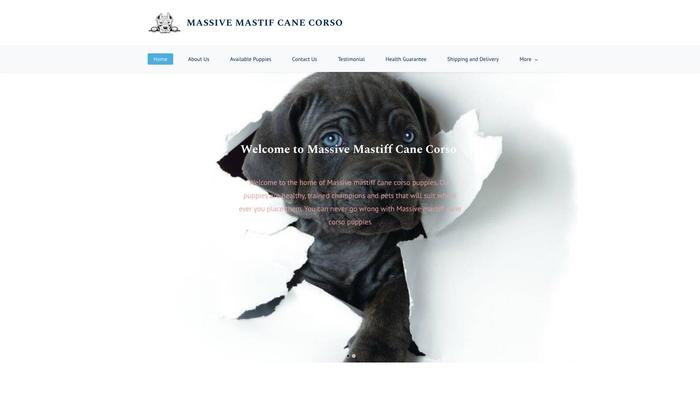 Massivemastiffcanecorsopups.com - Cane Corso Puppy Scam Review