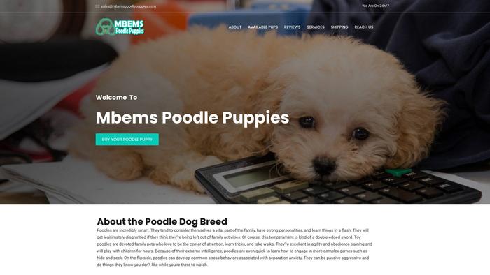 Mbemspoodlepuppies.com - Poodle Puppy Scam Review