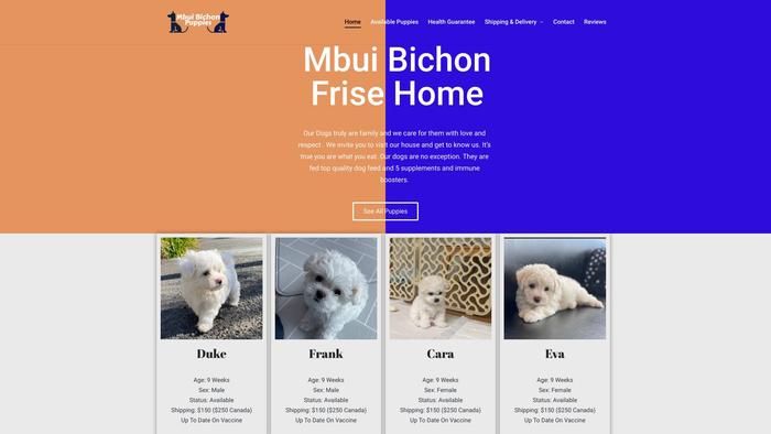 Mbuibichonfrisehome.com - Bichon Frise Puppy Scam Review