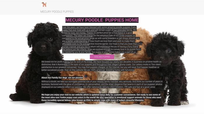 Mecurypoodlepuppies.com - Poodle Puppy Scam Review